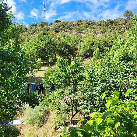 Maison Au Coeur Du Verdon 2 Et Terrasse Casa de Férias Allemagne-en-Provence