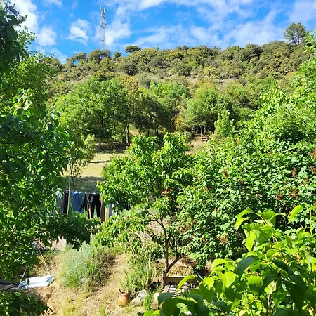 Maison Au Coeur Du Verdon 2 Et Terrasse Casa de Férias Allemagne-en-Provence